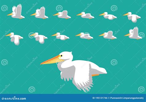 Animal Animation Sequence Pelican Flying Cartoon Vector Stock Vector