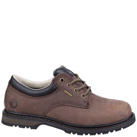 Mens Cotswold Stonesfield Waterproof Leather Hiking Walking Shoes Sizes