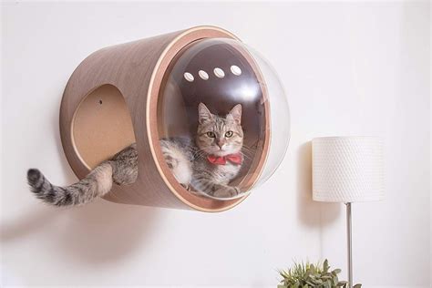 Luxury Cat Beds From Myzoo