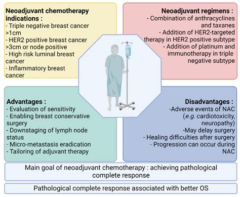 Predictive Biomarkers Of Neoadjuvant Chemotherapy In Breast Cancer