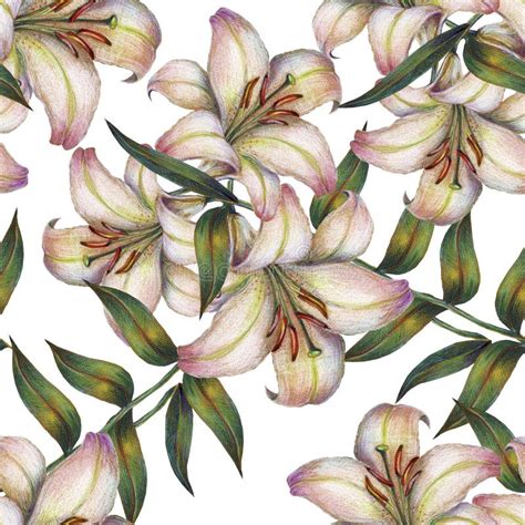 Flower White Lily Watercolor Bouquet Pattern Seamless Stock