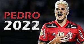PEDRO - Magical Skills & Goals - 2022 - Flamengo - Transfer Target of European Top Clubs (HD)