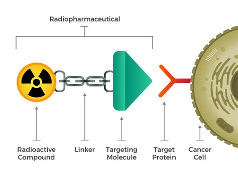 Radiopharmaceuticals Radiation Therapy Enters The Molecular Age — Agenparl