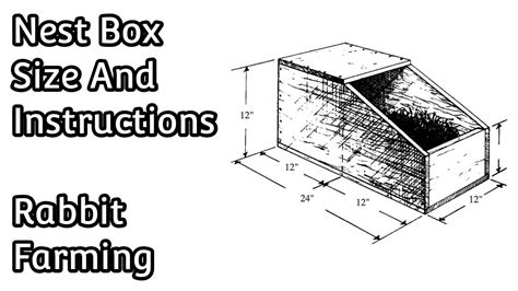 Rabbit Nest Box Size And Installation Instructions Rabbit Farming