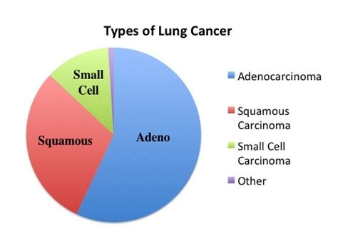 Lung cancer, also known as the lung carcinoma is a tumour caused by the uncontrolled growth of infected cells. Lung cancer Classification and Incidence - Moose and Doc
