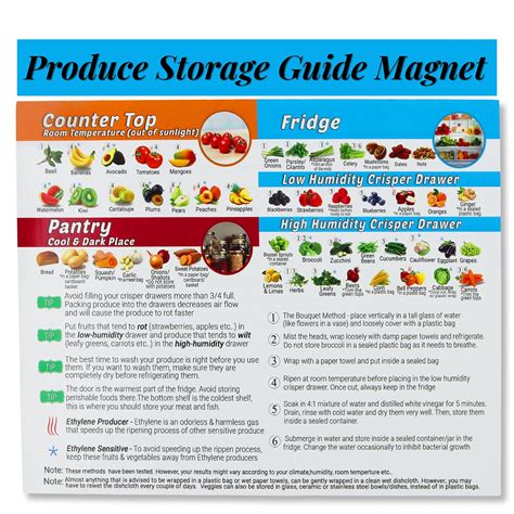 Buy Produce Storage Guide Magnet How To Store Food Magnet For The