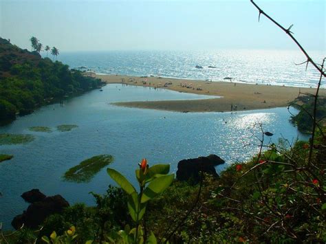 Arambol Beach Harmal Beach Panjim Timings Water Sports Best Time