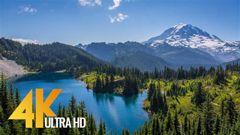 4k Nature Relax Video Mount Rainier Summer Proartinc