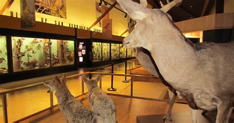 San Bernardino County Museum Opens New Hall Of Biodiversity
