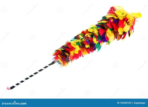 Feather Duster Stock Photo Image Of Broom Equipment 16438720