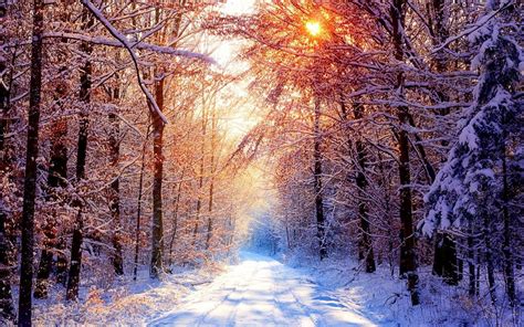 Frosty Morning Wallpapers Wallpaper Cave
