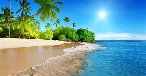 4k Tropical Wallpapers Top Free 4k Tropical Backgrounds Wallpaperaccess