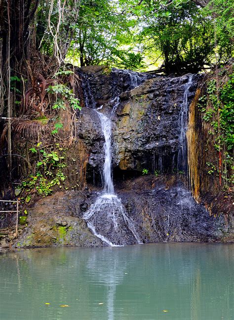 Latille Waterfall St Lucia Photograph By Brendan Reals Fine Art