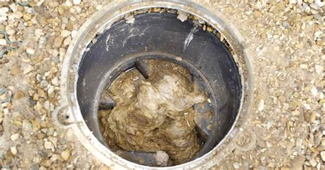 Signs Causes And Troubleshooting A Clogged Sewer Line Plumbing Sniper