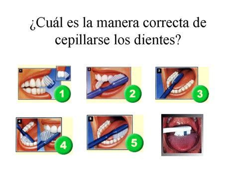 Cuidando Sus Dientecitos ¿cómo Se Deben Cepillar Los Dientes