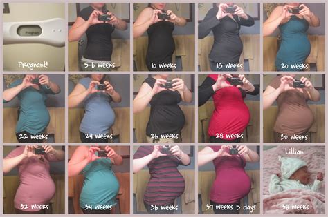 Plus Size Pregnancy Pictures Week By Week Dresses Images