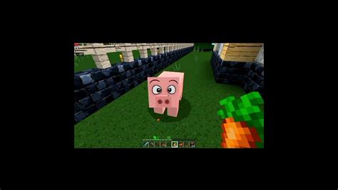 Minecraft Survival Aaaa Babi Ketu Youtube
