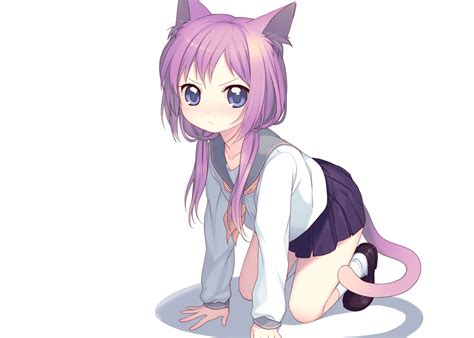 Papel De Parede Ilustração Nekomimi Anime Meninas Anime Garota Do