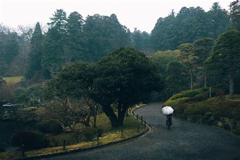 Wallpaper Film Grain Green Japan Forest Trees Landscape