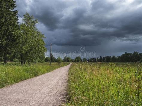 Empty Countryside Road With Green Field On The Side And Forest In The