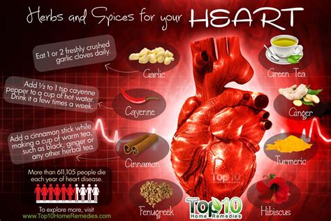 It features over the top ingredients which promote the cardiovascular system, and for that reason, it takes the first place on our list. Spice Up Your Diet: 10 Heart-Friendly Herbs and Spices ...