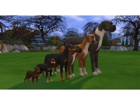 Dog Sizeheight Slider By Pixelpfote Sims 4 Sims 4 Pets Sims