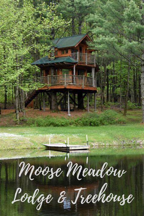Moose Meadow Lodge And Treehouse Review Journeys And Jaunts Tree