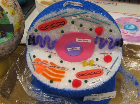 Homemade Cell Model Project Ideas Bing Images 3d Plant Cell Model 3d