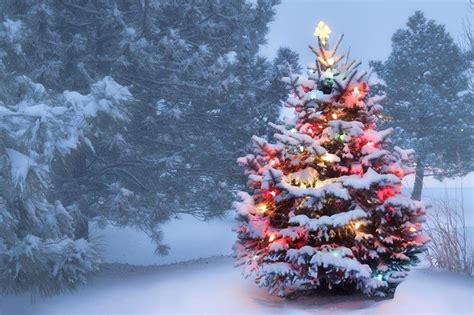 Decoração De árvore De Natal Confira 14 Ideias Incríveis Live
