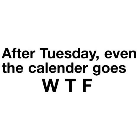 funny quotes about tuesday quotesgram