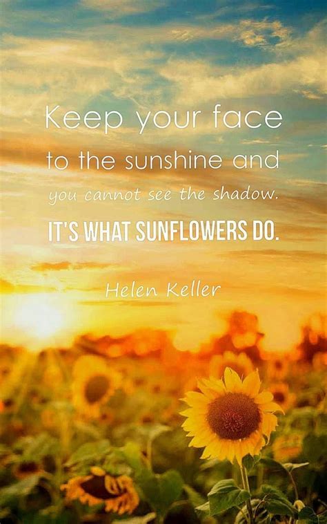 Quotes On Sunflower Wallpapers Wallpaper Cave