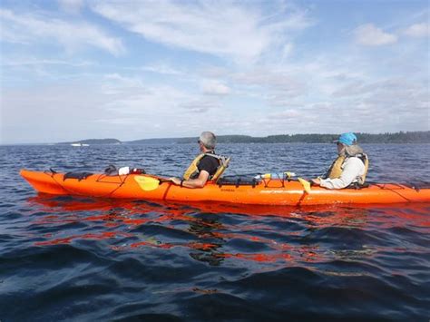 Kayak Nisqually Olympia Atualizado 2022 O Que Saber Antes De Ir