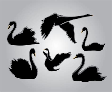 Swan Silhouette Vector At Collection Of Swan