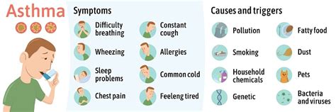 The Symptoms And Causes Of Asthma Infographics Vector Illustration For