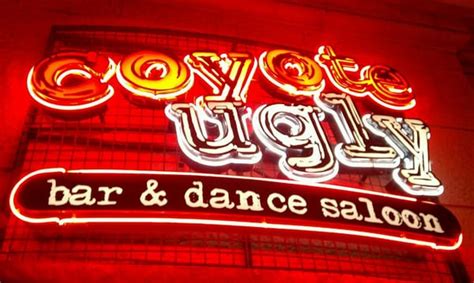 Coyote Ugly Saloon - Bars - The Strip - Las Vegas, NV - Reviews