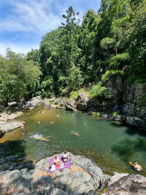 Fantastic Cedar Creek Swimming Holes In Brisbane Ancient Citizen