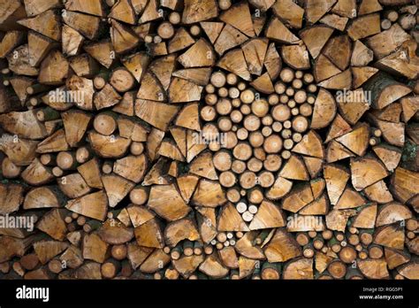 Unseasoned Firewood Hi Res Stock Photography And Images Alamy