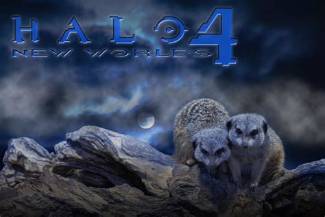 Free Download Halo Hd Wallpapers New Worlds Desktop Wallpapers X For Your Desktop