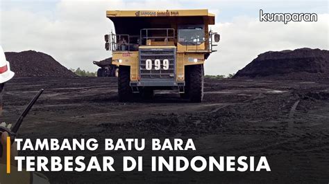 Mengintip Tambang Batu Bara Terbesar Di Indonesia Youtube