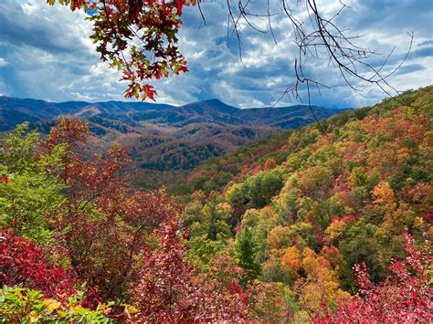 3859 Best Great Smoky Mountain National Park Images On Pholder Earth