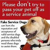 Images of Fake Service Dog Id