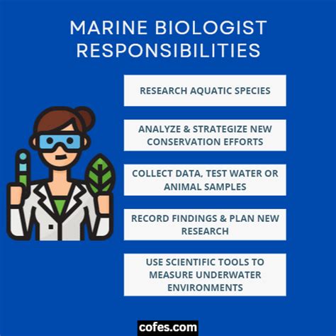 Marine Biologist Job Description Salary Duties And More 2023