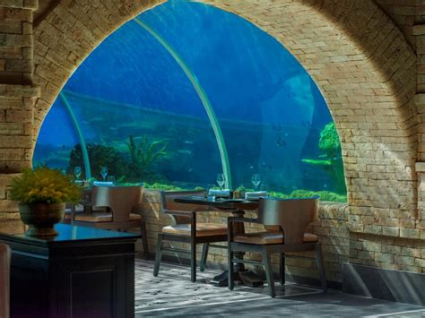 Dont Miss This Underwater Dining Experience In Bali Epicure Magazine