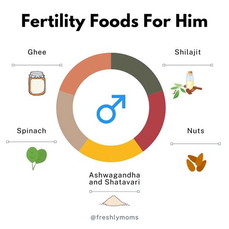 Diet Additions To Boost Fertility What To Eat When Trying To Conceive