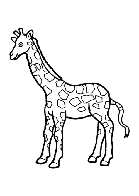 Coloriage Girafe 5 Sur