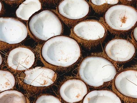 Coconut oil is effective for baby eczema for one more reason; Coconut Oil for Eczema: Benefits and Uses