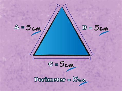 3 Ways To Find The Perimeter Of A Triangle Wikihow