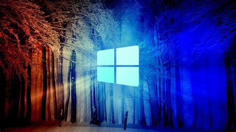 Windows 10 Snow Forest Hd Technology Wallpapers Hd Wallpapers Id 38380