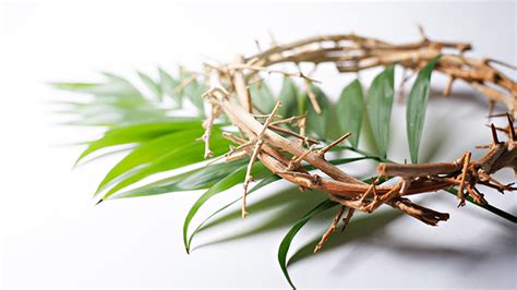 Here are the best quotes and greetings to mark palm sunday. When is Palm Sunday 2018? | Metro News