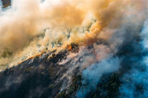 Wildfire Aerial View Fire And Smoke Burning Forest Natural Disaster